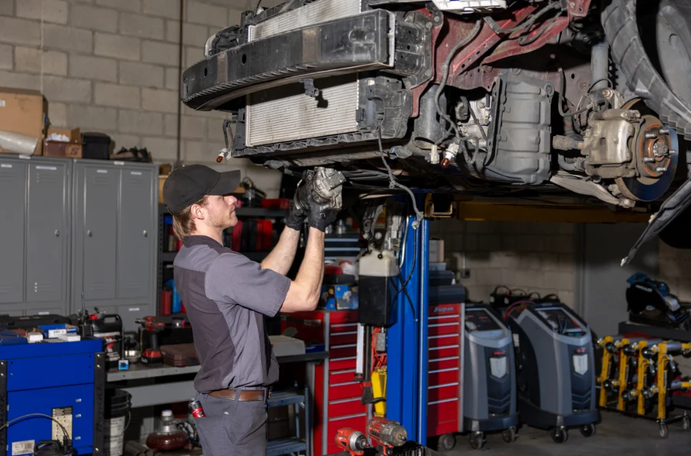 Performance & Longevity